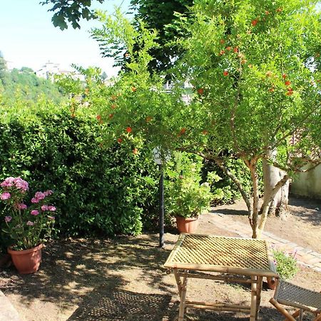 Le Coste Bed and Breakfast Veroli Εξωτερικό φωτογραφία